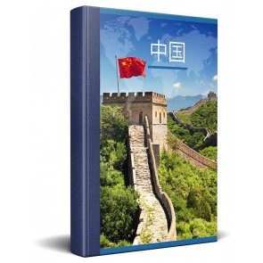 Chinese New Testament Bible