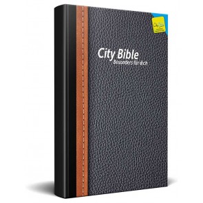 German Traditional New Testament Bible